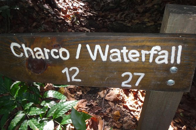 Damajagua Waterfalls for Cruise Ship Passengers - Practical tips for a smoother day