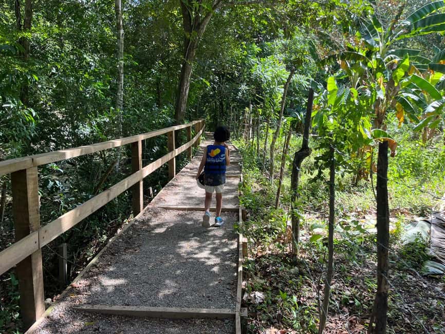 Damajagua Waterfalls Tour with Lunch - Booking details that matter