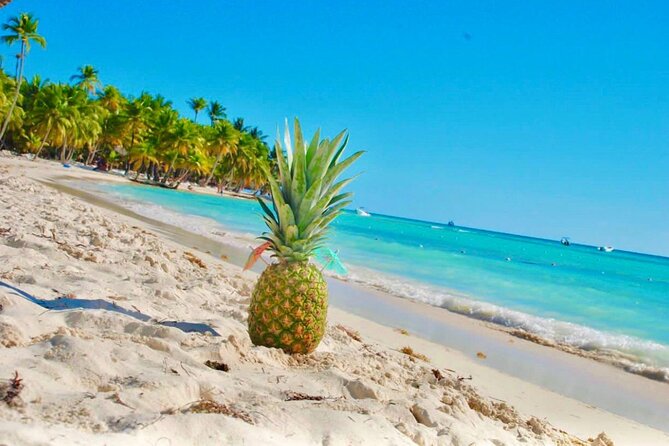 Day Trip to Saona Island with Lunch and Open Bar - The $85 price and what it covers