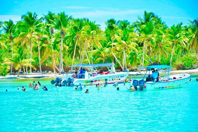 Day Trip to Saona Island with Lunch and Open Bar - From Punta Cana roads to speedboat and catamaran