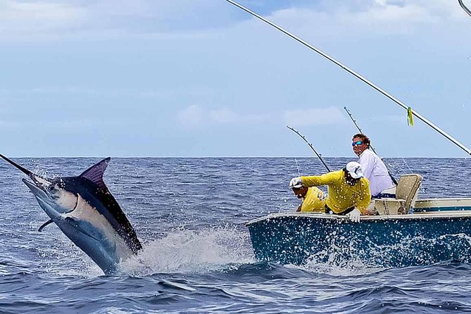 Deep Sea Fishing Half Day - What you are really paying for at $50