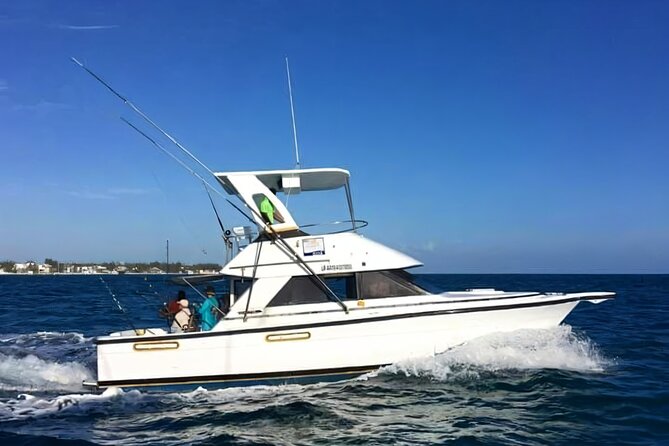 Deep sea fishing in Punta Cana and Bávaro. - Key points to know before you book