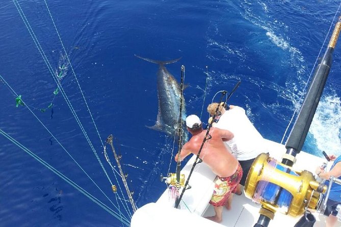 Deep Sea Fishing Tour - A Punta Cana Fishing Trip With a Real Chance to Catch