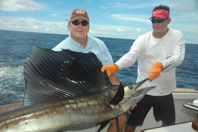 Deep Sea Fishing Tour - What the Catch May Look Like
