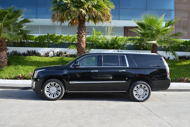 Departure Luxury Transportation: Hotels to Punta Cana International Airport(1-5) - Key points at a glance