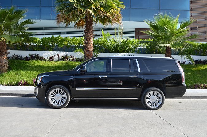 Departure Luxury Transportation: Hotels to Punta Cana International Airport(1-5) - Who should book this service