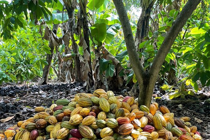 Discover Dominican life - Leaving the resort world for Anamuya