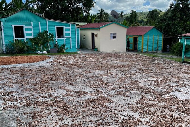 Discover Dominican life - Meeting local families and seeing a different side of daily life