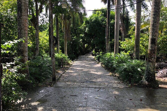 Discover Dominican life - Coffee, cocoa, and coconut oil in a working setting