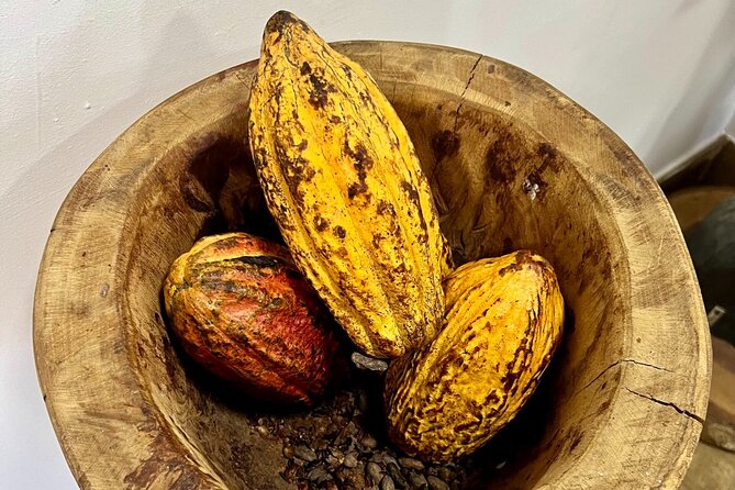 Discover La Romana Culture and local flavours - Transport, timing, and group size