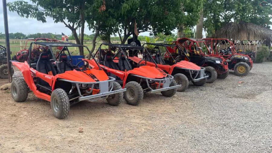Discover Punta Cana Tour Buggy & ATV Tour Macao Beach Cenote - Who will enjoy this tour most?