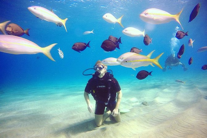 Discover Scuba Diving - Key points to know before booking