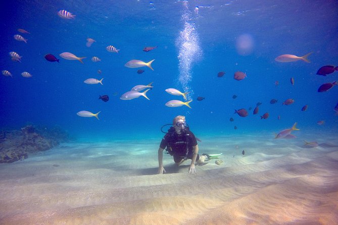 Discover Scuba Diving - Who will enjoy this most