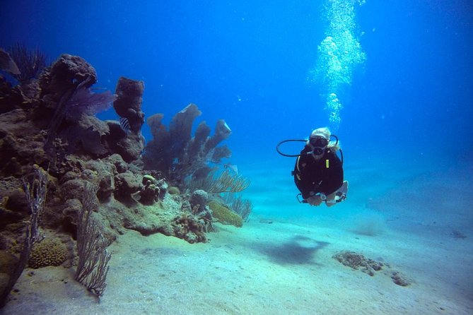 Discover Scuba Diving - Cancellation and weather details