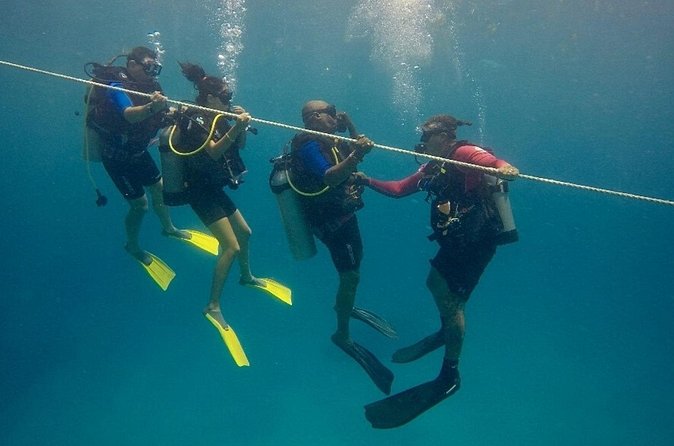 Discover Scuba Diving - DSD - Is $99 a fair price?