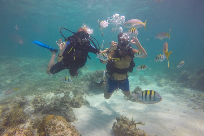Discover Scuba Diving - DSD - Who will get the most from this experience