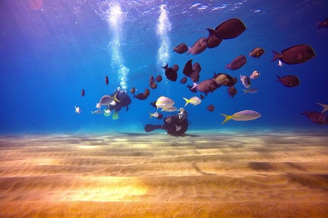 Discover Scuba Diving - Boat ride with Captain Domingo aboard Elena