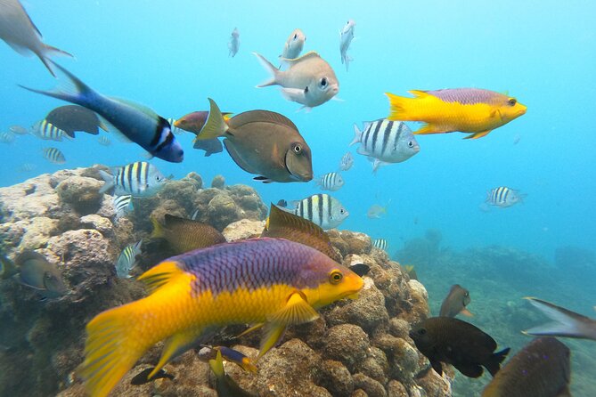 Discover Sosua's Underwater World & Beach Day - Sosua Beach after the snorkeling