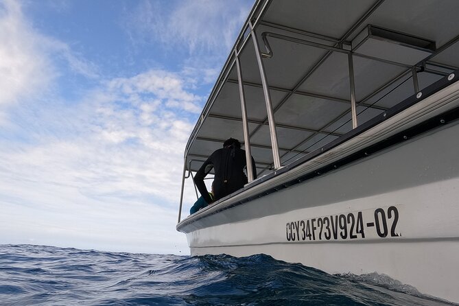 Discover Sosua's Underwater World & Beach Day - What the $69 price really covers