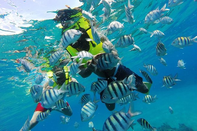 Discover Sosua's Underwater World & Beach Day - The difference between this trip and a party cruise