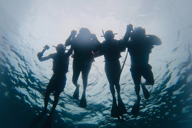 Discover Sosua's Underwater World & Beach Day - Photos and the personal touch