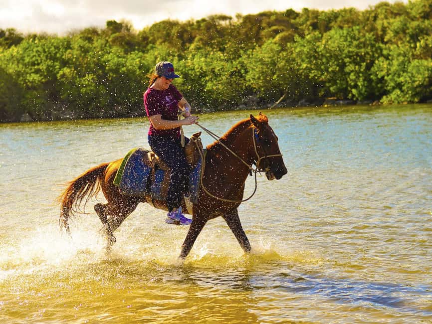 Discover the Trails of Punta Cana on a Horseback Ride - The countryside route: useful context, not a polished trail
