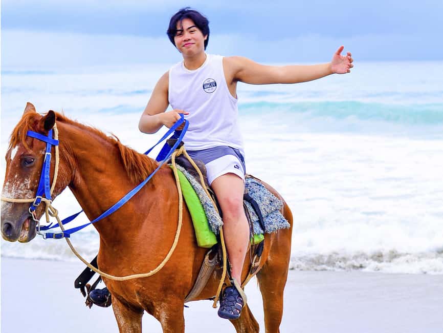 Discover the Trails of Punta Cana on a Horseback Ride - Safety, comfort, and who should book