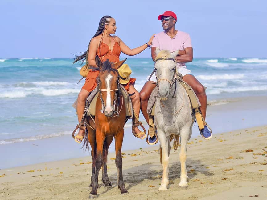 Discover the Trails of Punta Cana on a Horseback Ride - Choosing the right horse for your ability