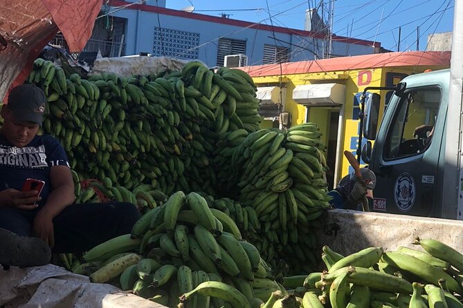 discovery and adventure of the local Dominican life in small group - Is $108.88 a fair price?