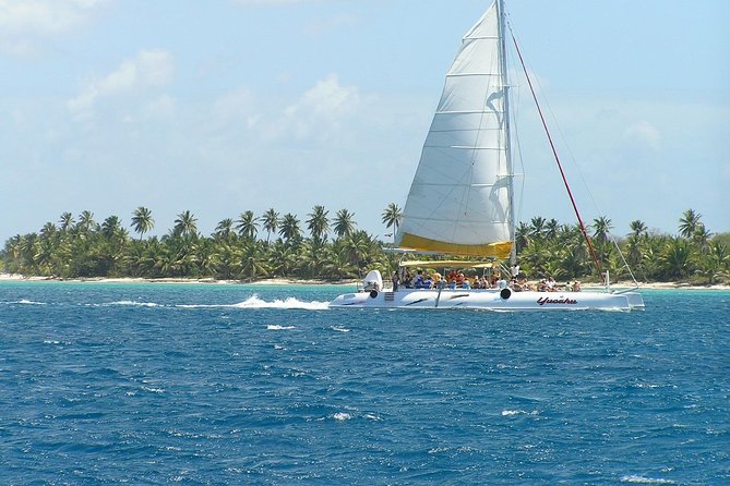 Discovery Package Saona Island & Buggies From Punta Cana - The natural swimming pool stop