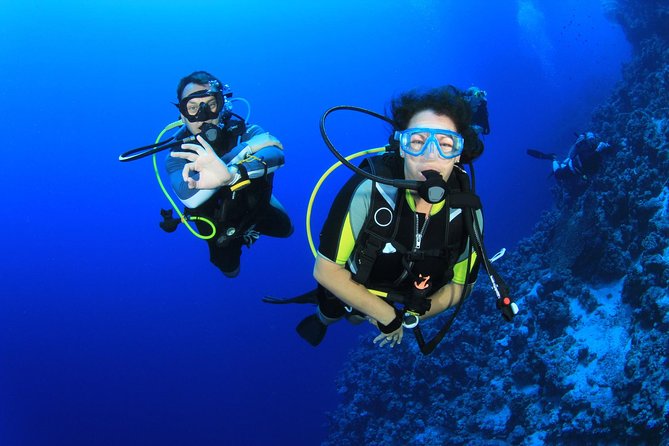 Diving for Certified Divers, 2 Tanks Sosúa Bay - Key points to know before booking