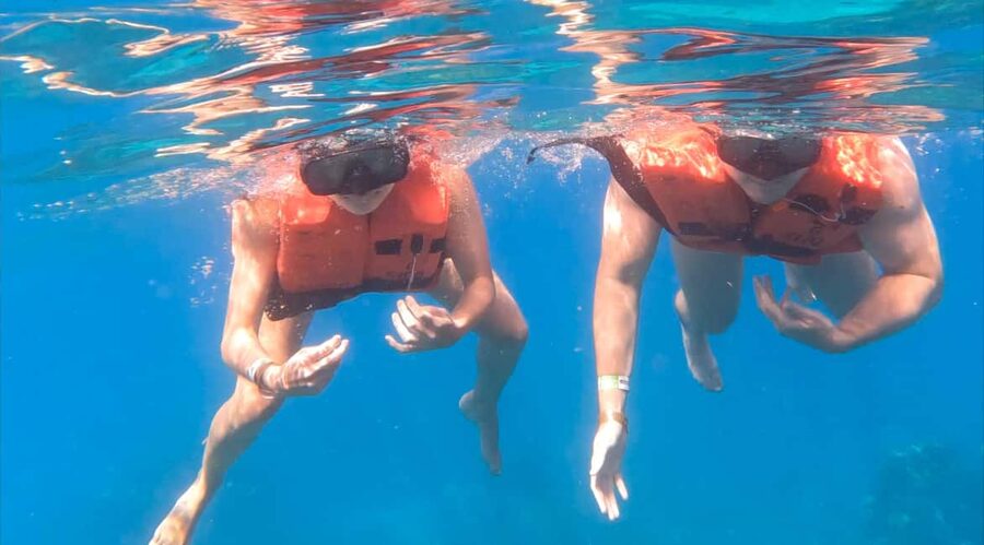 diving without a license catalina island from punta cana - Who should book this outing?