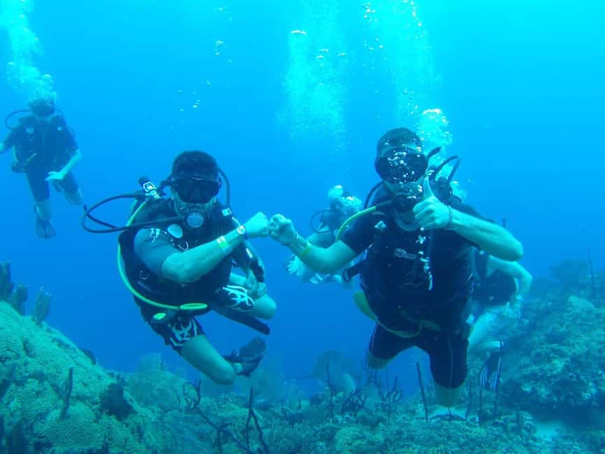 diving without a license catalina island from punta cana - Reaching Catalina Island by catamaran