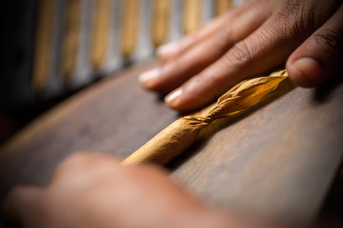 Dominican Cigar Factory Tour - Key points to know before you go