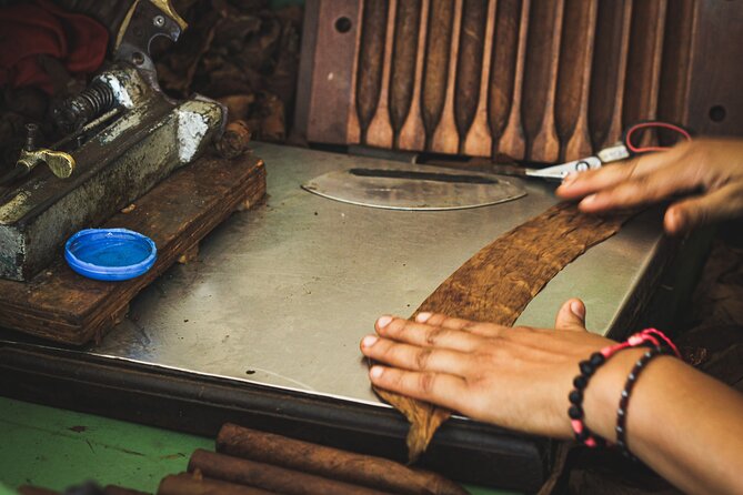 Dominican Cigar Factory Tour - Aging, blending, and the character of a cigar