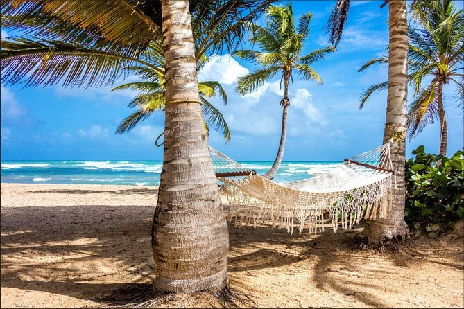 Dominican countryside, culture and beach escape with lunch - How the bus atmosphere affects the day