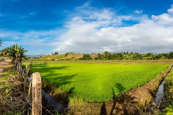Dominican countryside, culture and beach escape with lunch - Full-day route or half-day option