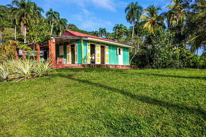 Dominican countryside, culture and beach escape with lunch - Who will get the most from this experience