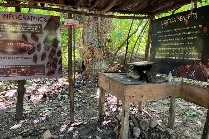 Dominican Culture Tour - What to know before booking