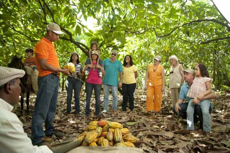 Dominican Republic: 3-Hour Chocolate Lovers Tour - From cacao seed to chocolate bar