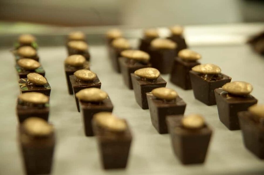 Dominican Republic: 3-Hour Chocolate Lovers Tour - Following your nose to the chocolate factory
