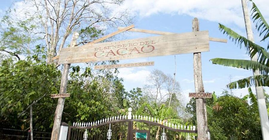 Dominican Republic: 3-Hour Chocolate Lovers Tour - What the $83 price gets you