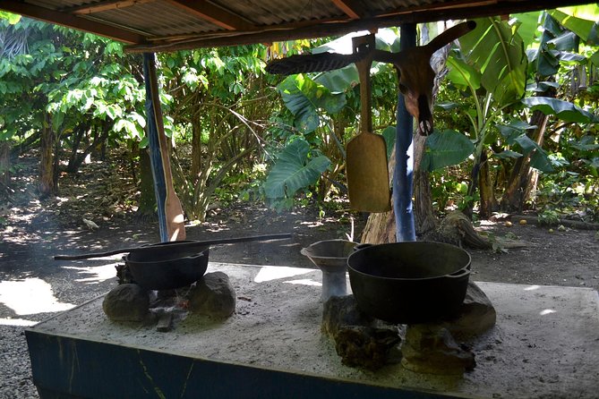 Dominican Republic Countryside Safari Tour from Punta Cana - Lunch with Dominican food and mountain views