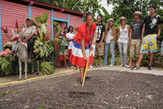 Dominican Safari Half Day... - Higüey and the municipal market