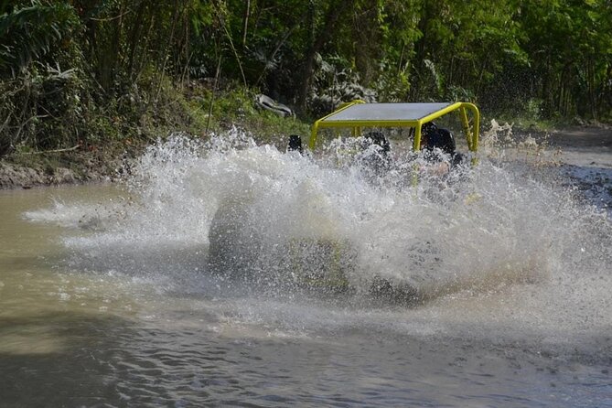 Dune Buggies Adventure - Muñoz and the Traditional Coffee and Cocoa Process