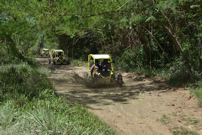 Dune Buggies Adventure - What the $140 Vehicle Price Really Means