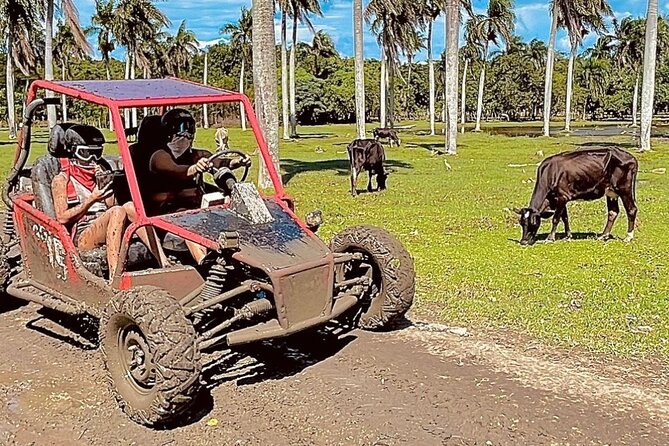 Dune Buggy Adventure from Amber Cove and Taino Bay Puerto Plata - Who will enjoy this tour most
