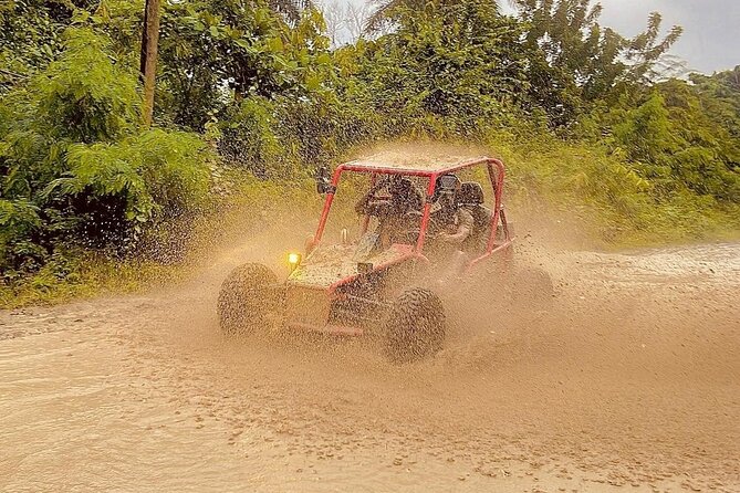 Dune Buggy Adventure from Amber Cove and Taino Bay Puerto Plata - Booking, weather, and cancellation details