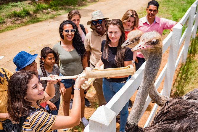 Eco Park Punta Cana by Marinarium Parks - A Dominican house, sugar mill, and dog rescue shelter