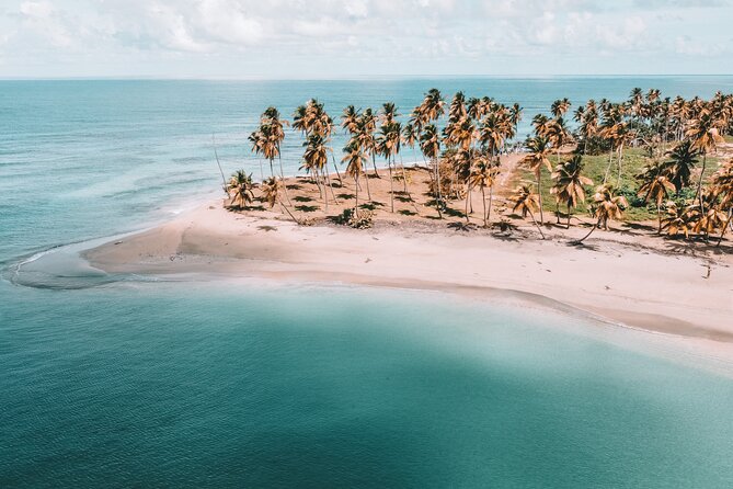 ECO TOUR Playa El Limon (Excursion Multi-activites) - Key points to know before booking